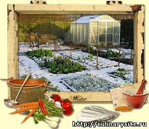 Чем заняты садоводы и огородники зимой?