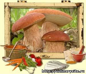 Полезные свойства белого гриба